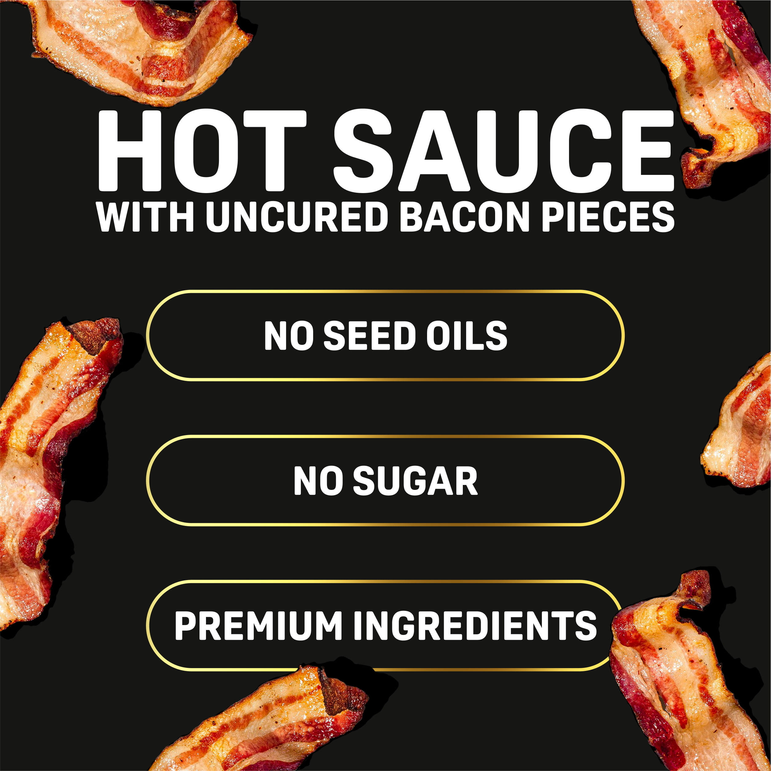 BACONIC SAUCE (Mixed 2-Pack)